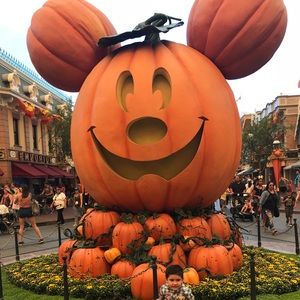 Meet your Posher, Ingrid